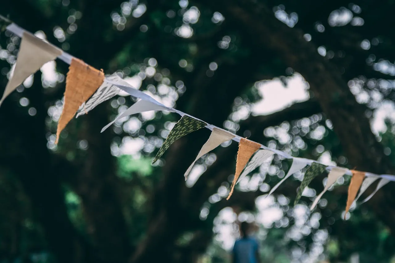 Shallow Focus Flags
